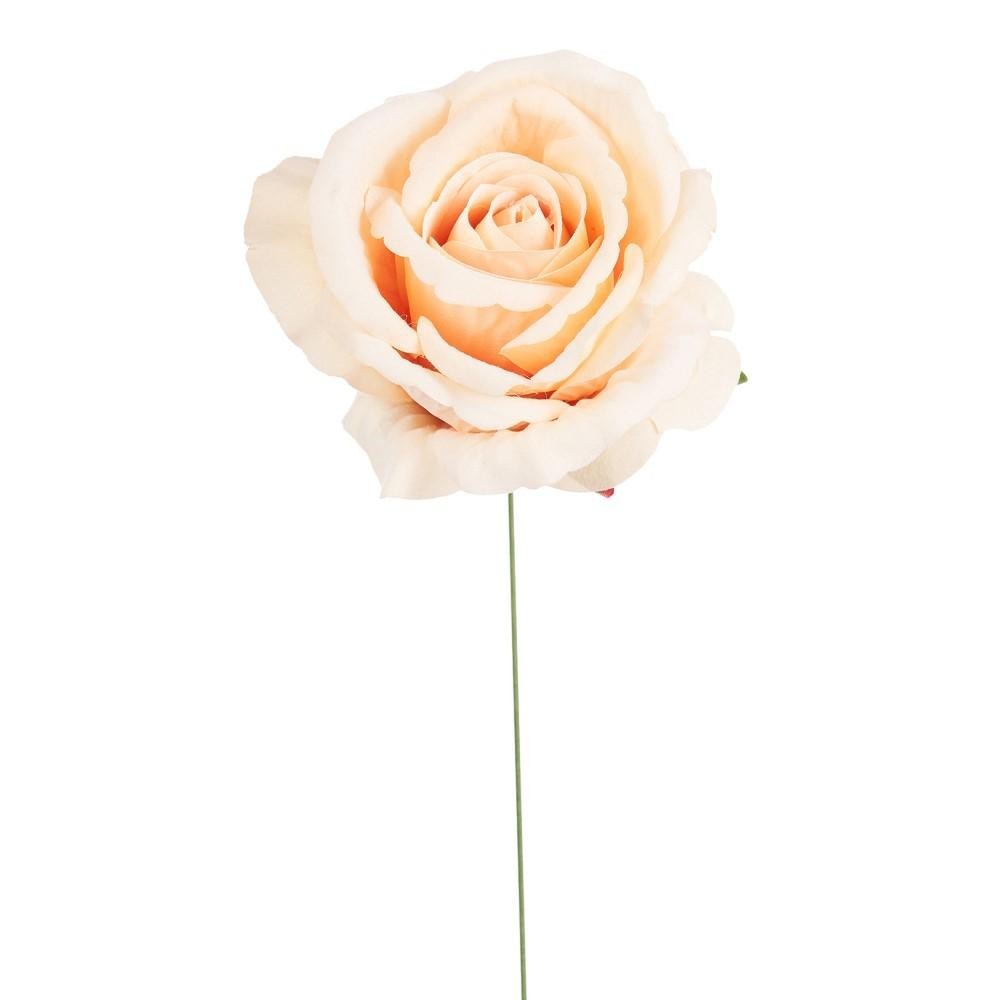 PICK ROSA JULIET IVORY D10 H21